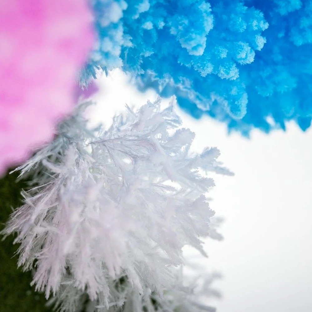 Arbre Magique 4 Arbre Magique – Image 2