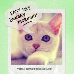 Bloc-notes Repositionnable Bulles De BD Transparent -Créatifs Cadeaux Magasin bloc notes repositionnable bulles de bd transparent 2