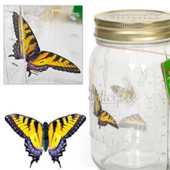 Bocal à Papillon Magique -Créatifs Cadeaux Magasin bocal a papillon magique mybutterfly 2