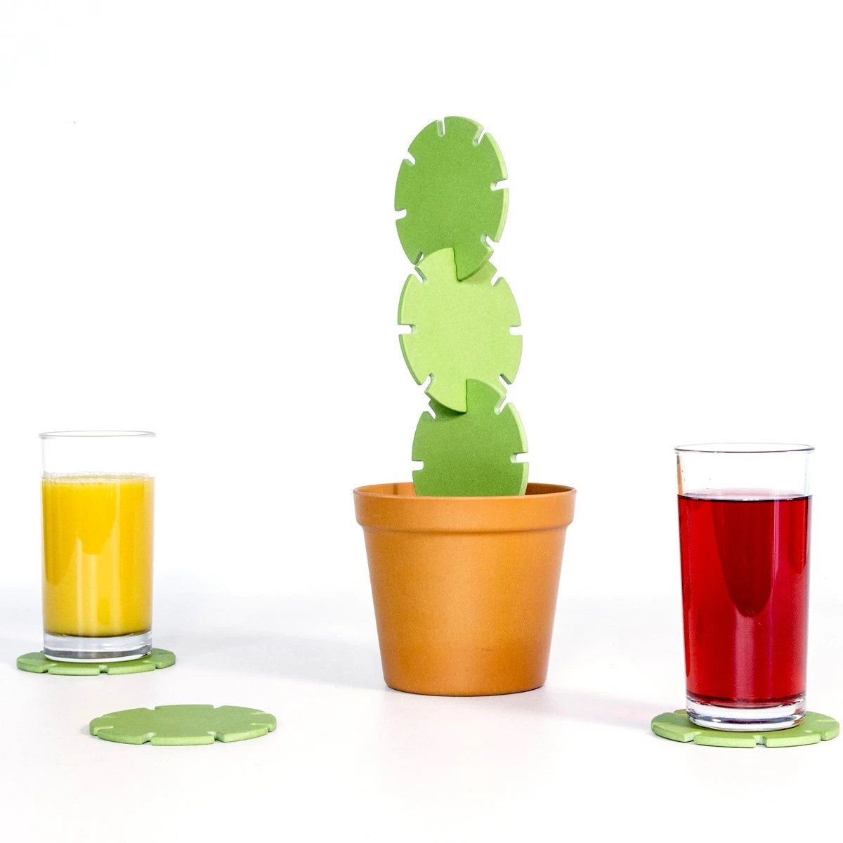 Cactus Dessous De Verre 5 Cactus Dessous De Verre – Image 3