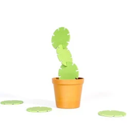 Cactus Dessous De Verre