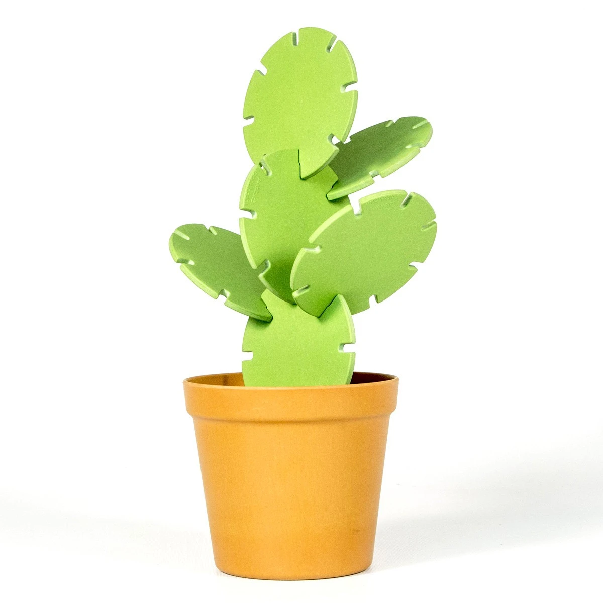 Cactus Dessous De Verre 6 Cactus Dessous De Verre – Image 4