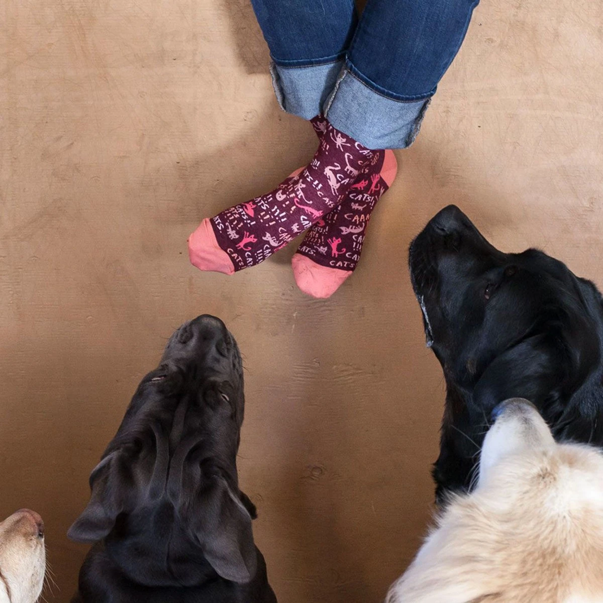 Chaussettes Femme Chats 4 Chaussettes Femme Chats – Image 2