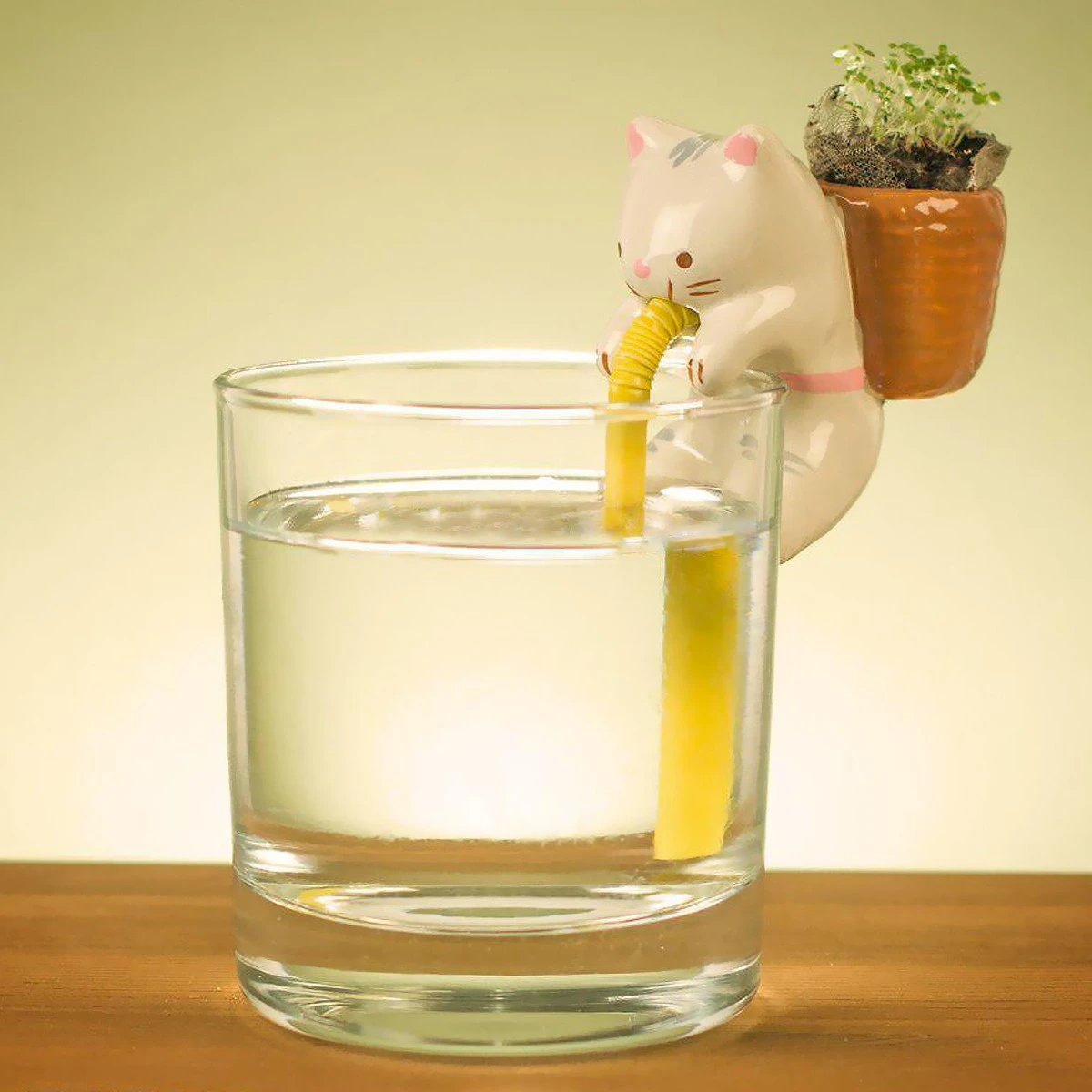 Chuppon Chat Fraise Sauvage à Faire Pousser 4 Chuppon Chat Fraise Sauvage à Faire Pousser – Image 2