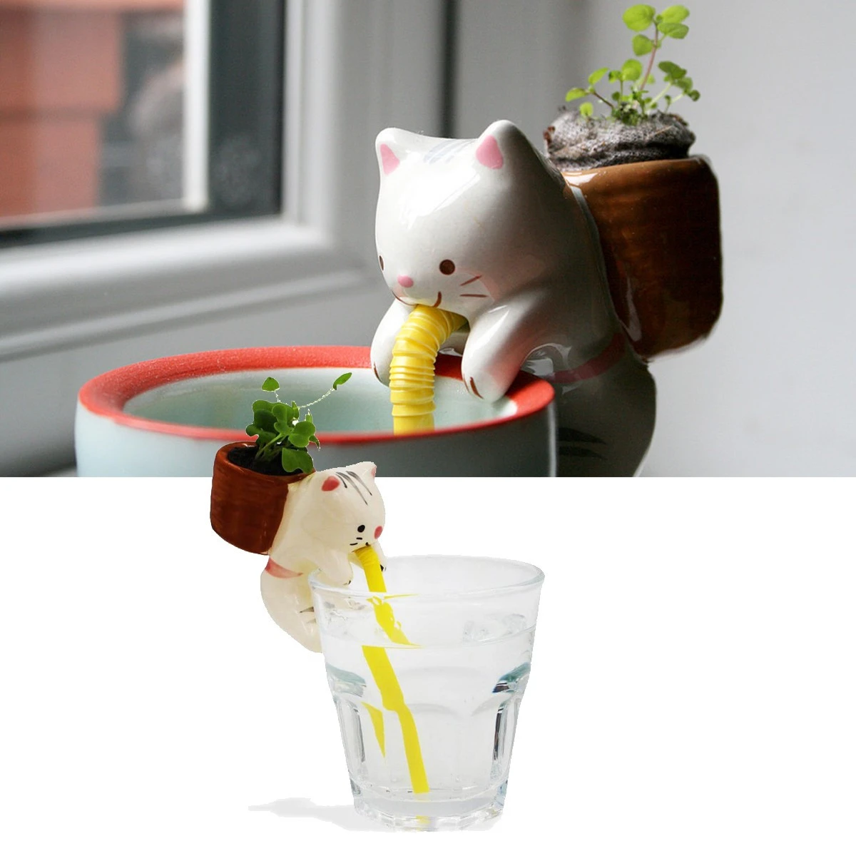 Chuppon Chat Fraise Sauvage à Faire Pousser 5 Chuppon Chat Fraise Sauvage à Faire Pousser – Image 3