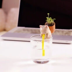 Chuppon Chat Fraise Sauvage à Faire Pousser 9 Chuppon Chat Fraise Sauvage à Faire Pousser -Créatifs Cadeaux Magasin chuppon chat fraise sauvage a faire pousser 3