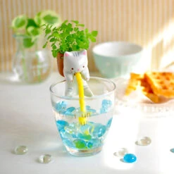 Chuppon Chat Menthe à Faire Pousser