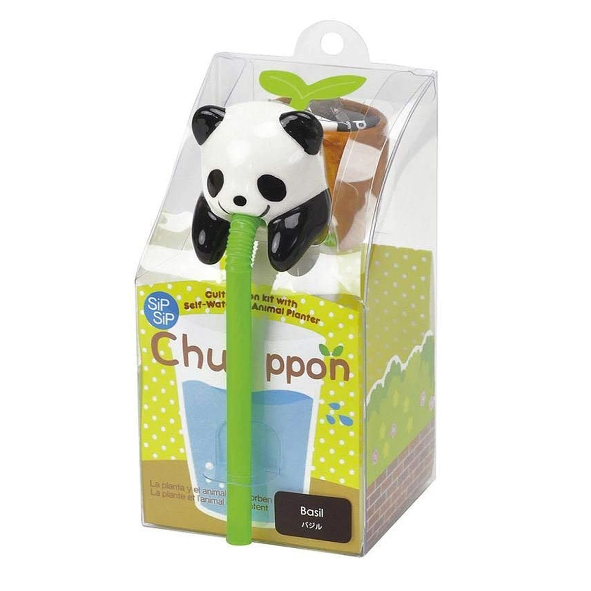 Chuppon Panda Basilic à Faire Pousser 4 Chuppon Panda Basilic à Faire Pousser – Image 2