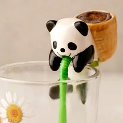 Chuppon Panda Basilic à Faire Pousser 7 Chuppon Panda Basilic à Faire Pousser -Créatifs Cadeaux Magasin chuppon panda basilic a faire pousser 2