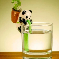 Chuppon Panda Basilic à Faire Pousser