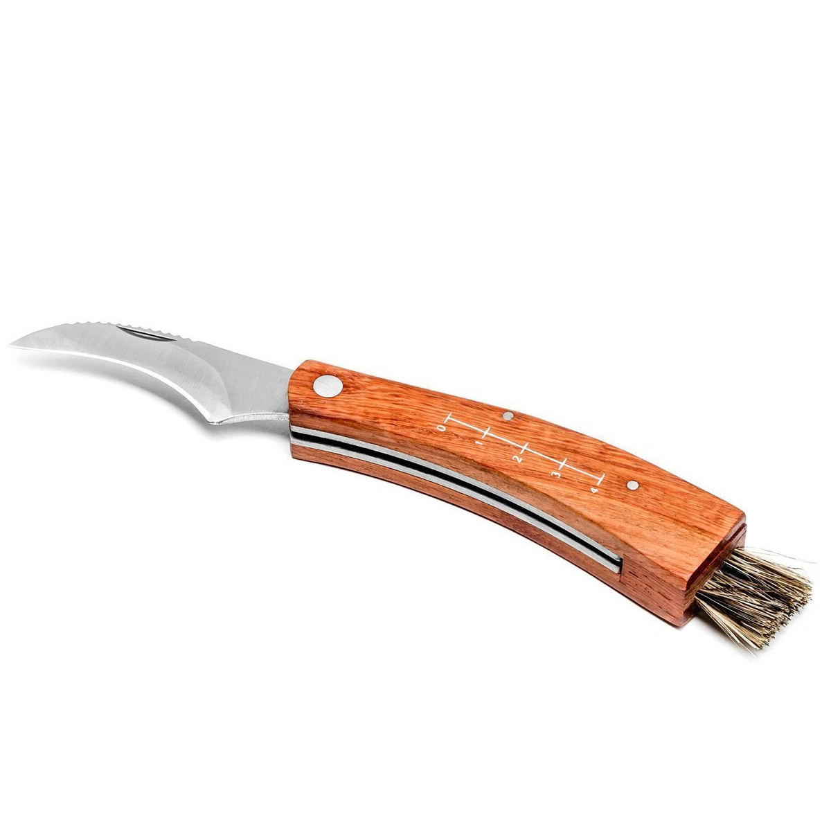 Couteau à Champignon Et Son étui 4 Couteau à Champignon Et Son étui – Image 2