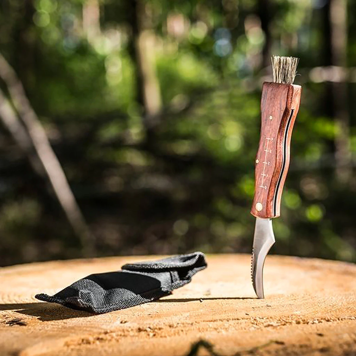 Couteau à Champignon Et Son étui 3 Couteau à Champignon Et Son étui