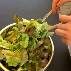 Couverts à Salade Jardinier 9 Couverts à Salade Jardinier -Créatifs Cadeaux Magasin couverts a salade jardinier 2