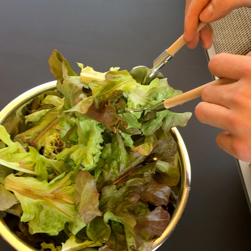 Couverts à Salade Jardinier 5 Couverts à Salade Jardinier – Image 3