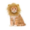 Crinière De Lion Pour Chat