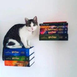 Etagère Invisible 9 Etagère Invisible -Créatifs Cadeaux Magasin etagere invisible 2