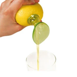 Extracteur De Jus D'agrumes