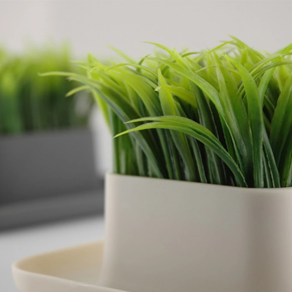 Herbe, Station De Rangement 4 Herbe, Station De Rangement – Image 2