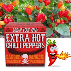 Kit à Faire Pousser Piment Extra Fort