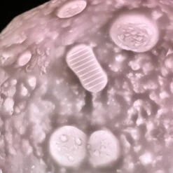 Lampe D'ambiance Lune -Créatifs Cadeaux Magasin lampe d ambiance lune led 3