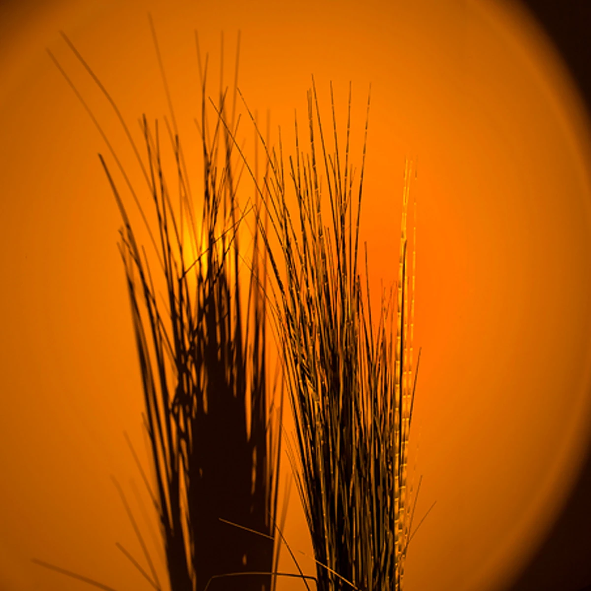 Out Of The Blue Lampe Sunset Coucher De Soleil 3 Out Of The Blue Lampe Sunset Coucher De Soleil