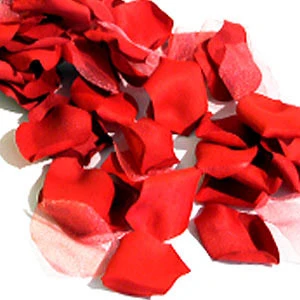 Lit De Pétales De Rose 4 Lit De Pétales De Rose – Image 2