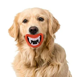 Lot De 2 Jouets Bouches Amusantes Pour Chien