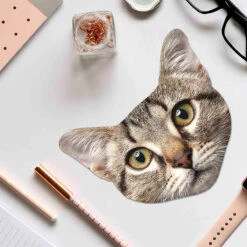 Lot De 3 Microfibres Pour Lunettes Animaux -Créatifs Cadeaux Magasin lot de 3 microfibres pour lunettes animaux 4