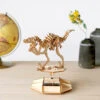Balvi Maquette Dinosaure Solaire 3D -Créatifs Cadeaux Magasin maquette dinosaure solaire 3d