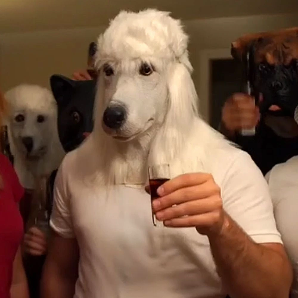 Masque De Caniche 4 Masque De Caniche – Image 2