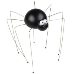 Masseur De Tête Araignée