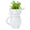 Mini Jardinière Chat -Créatifs Cadeaux Magasin mini jardiniere chat