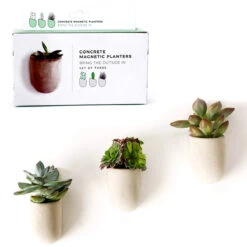 GIFT REPUBLIC Mini Jardinières Magnétiques En Béton -Créatifs Cadeaux Magasin mini jardinieres magnetiques en beton 3