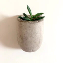 GIFT REPUBLIC Mini Jardinières Magnétiques En Béton -Créatifs Cadeaux Magasin mini jardinieres magnetiques en beton 4