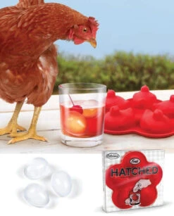 Moule à Glaçons Oeuf