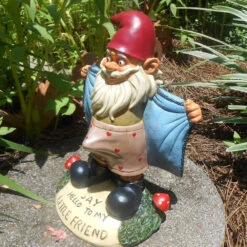 Nain De Jardin Exhibitionniste