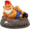 Nain De Jardin "I'm Sexy" 1 Nain De Jardin "I'm Sexy" -Créatifs Cadeaux Magasin nain de jardin i m sexy an i gnome it 2