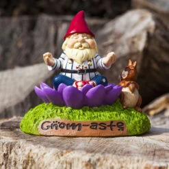 Nain De Jardin Méditation