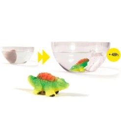 Oeuf Magique Dinosaure XL 8 Oeuf Magique Dinosaure XL -Créatifs Cadeaux Magasin oeuf magique dinosaure xl 2