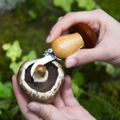 KIKKERLAND Outil Multifonction Pour Champignons