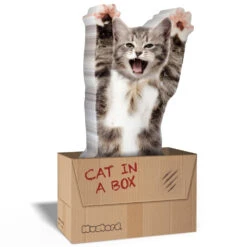 Pense-bêtes Adhésifs Chat 7 Pense-bêtes Adhésifs Chat -Créatifs Cadeaux Magasin pense betes adhesifs chat 2