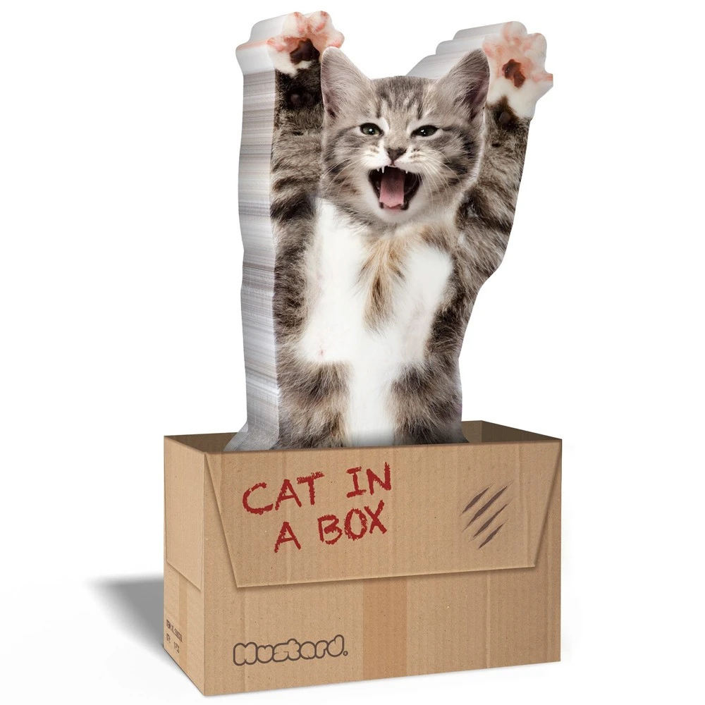 Pense-bêtes Adhésifs Chat 5 Pense-bêtes Adhésifs Chat – Image 3