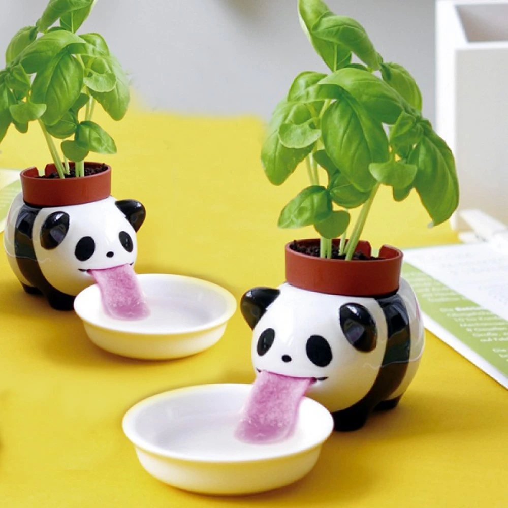 Peropon Panda Basilic à Faire Pousser 4 Peropon Panda Basilic à Faire Pousser – Image 2