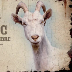 Plaque De Porte ça Sent Le Bouc -Créatifs Cadeaux Magasin plaque de porte ca sent le bouc 3