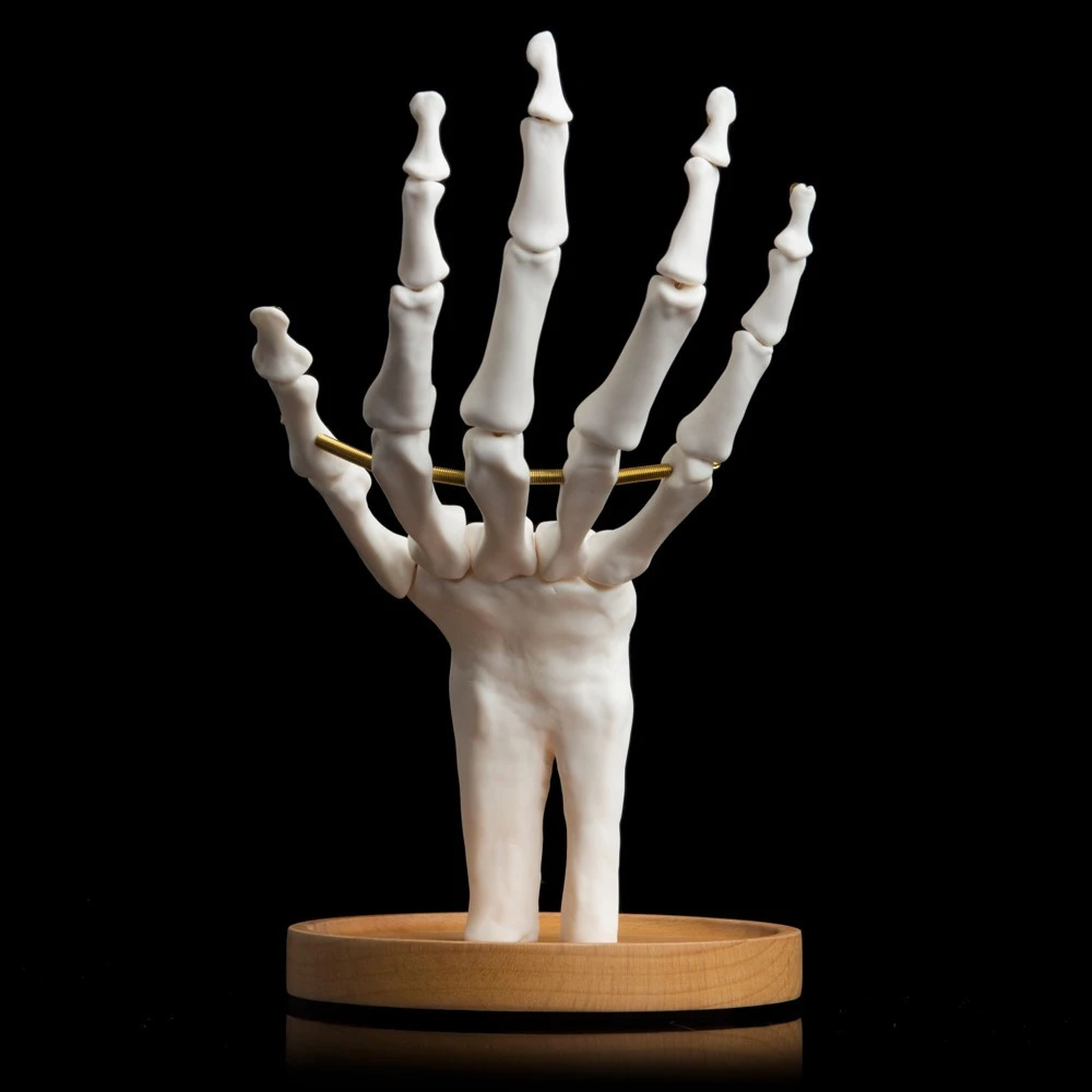 Porte-bijoux Main Squelette 4 Porte-bijoux Main Squelette – Image 2