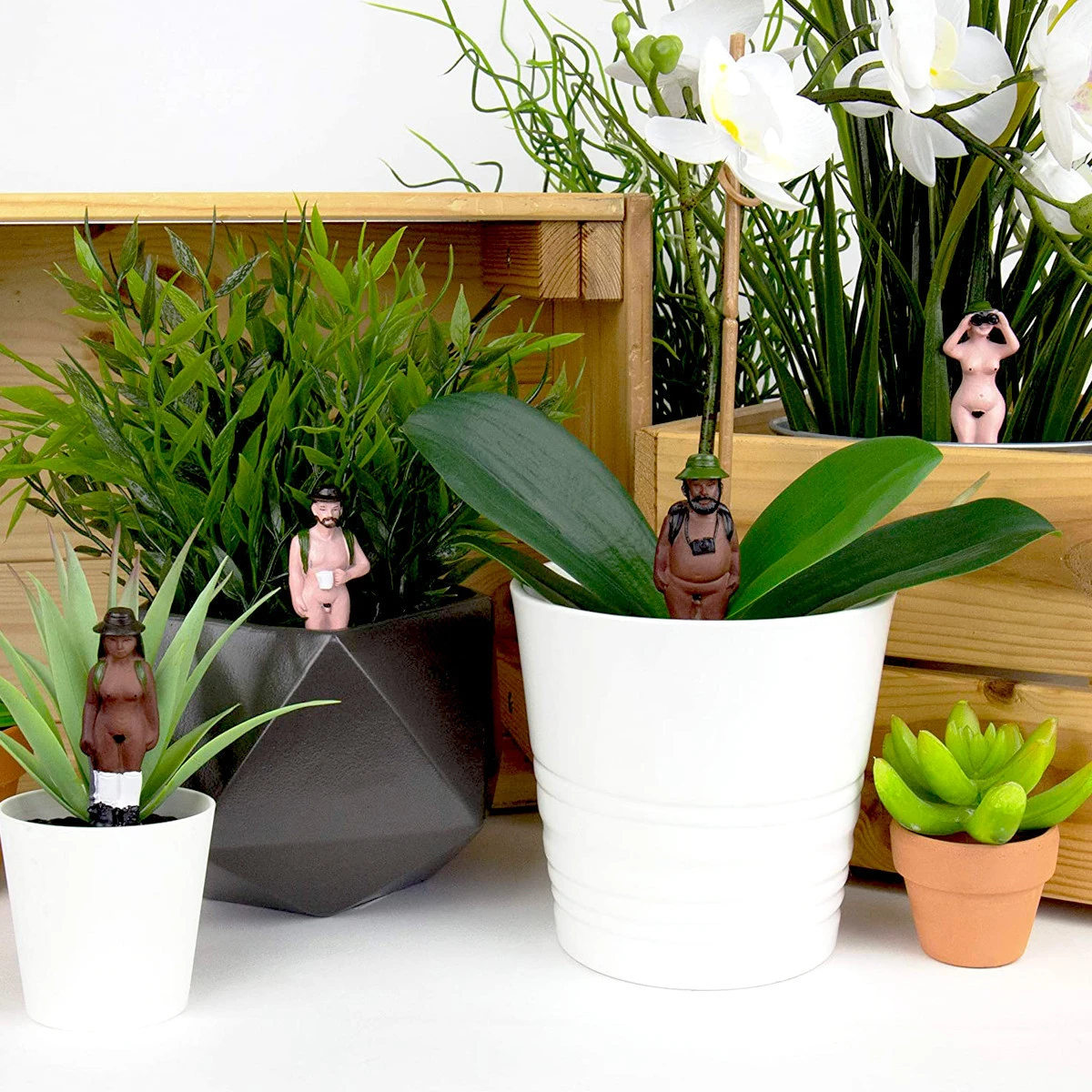 GIFT REPUBLIC Randonneurs Naturistes Pour Plantes 4 GIFT REPUBLIC Randonneurs Naturistes Pour Plantes – Image 2