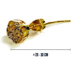 Rose éternelle Or 24 Carats -Créatifs Cadeaux Magasin rose eternelle or 24 carats 2