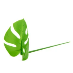 KIKKERLAND Set De 20 Pics Apéro Feuille Monstera