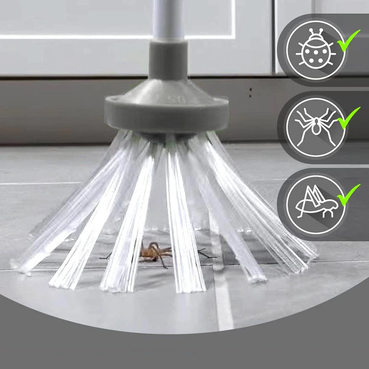 Out Of The Blue Spider Catcher, L'attrape Araignée 5 Out Of The Blue Spider Catcher, L'attrape Araignée – Image 3