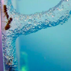 Super Fourmilière -Créatifs Cadeaux Magasin super fourmiliere deluxe 2